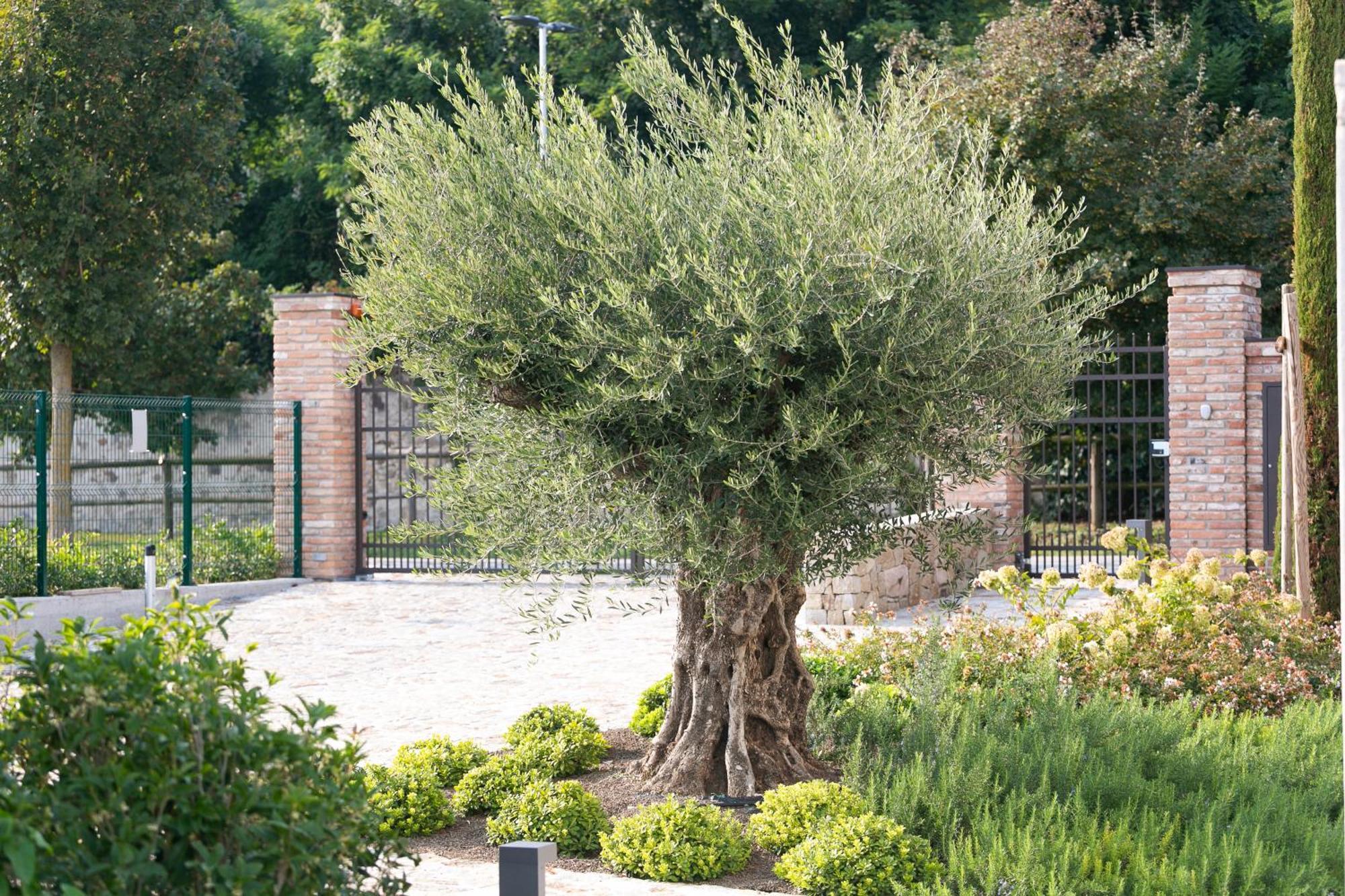 الشقق الفندقية أبانو تيرميفي  Casa Massaro Todeschini المظهر الخارجي الصورة